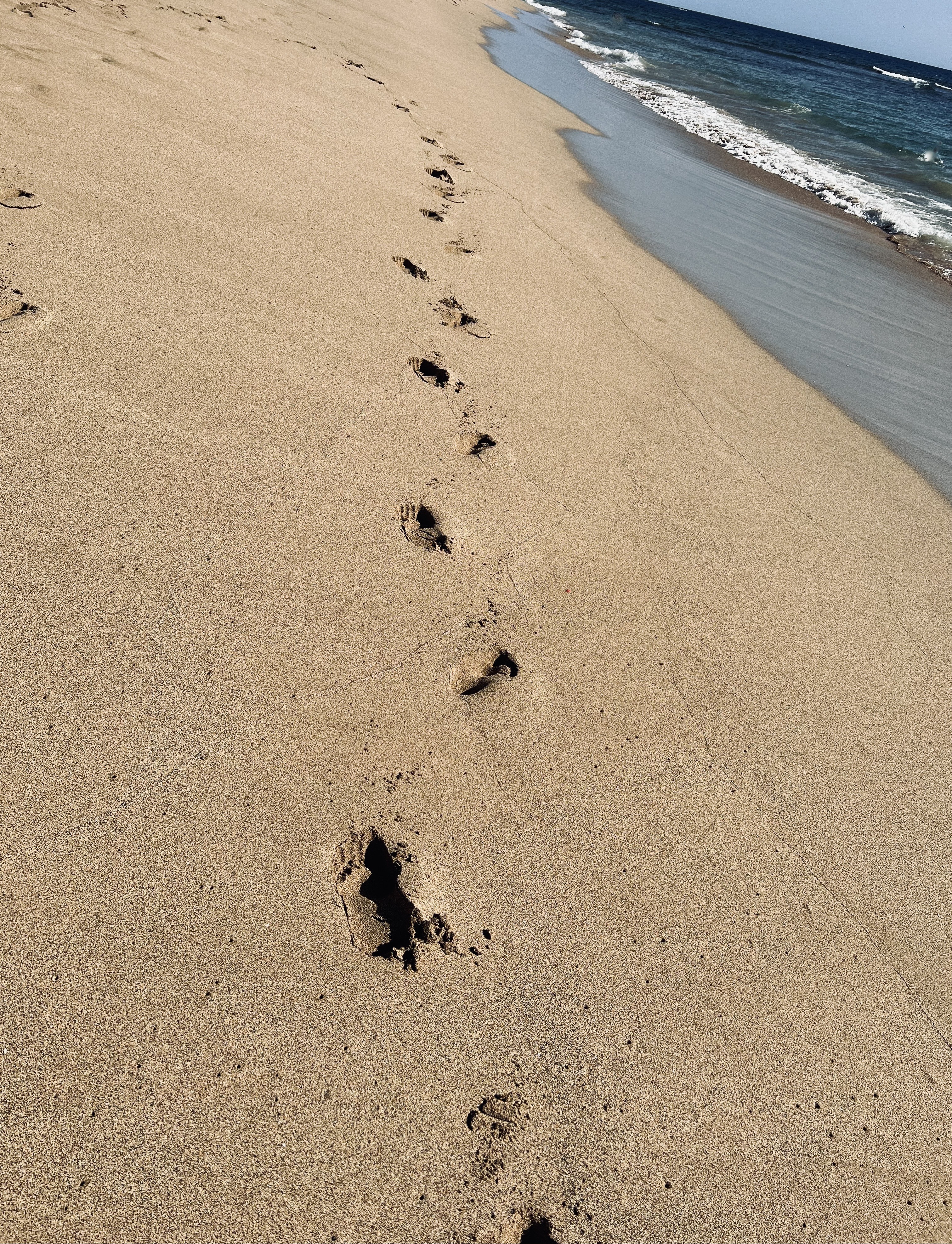 Chapter 11 — Conclusions